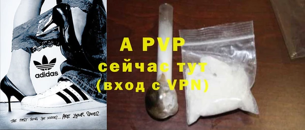 спиды Ладушкин