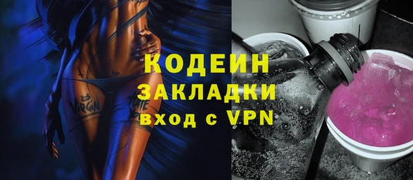 спиды Ладушкин