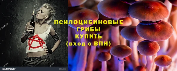 спиды Ладушкин