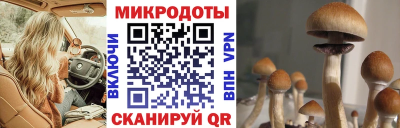Галлюциногенные грибы ЛСД  как найти   Курлово 